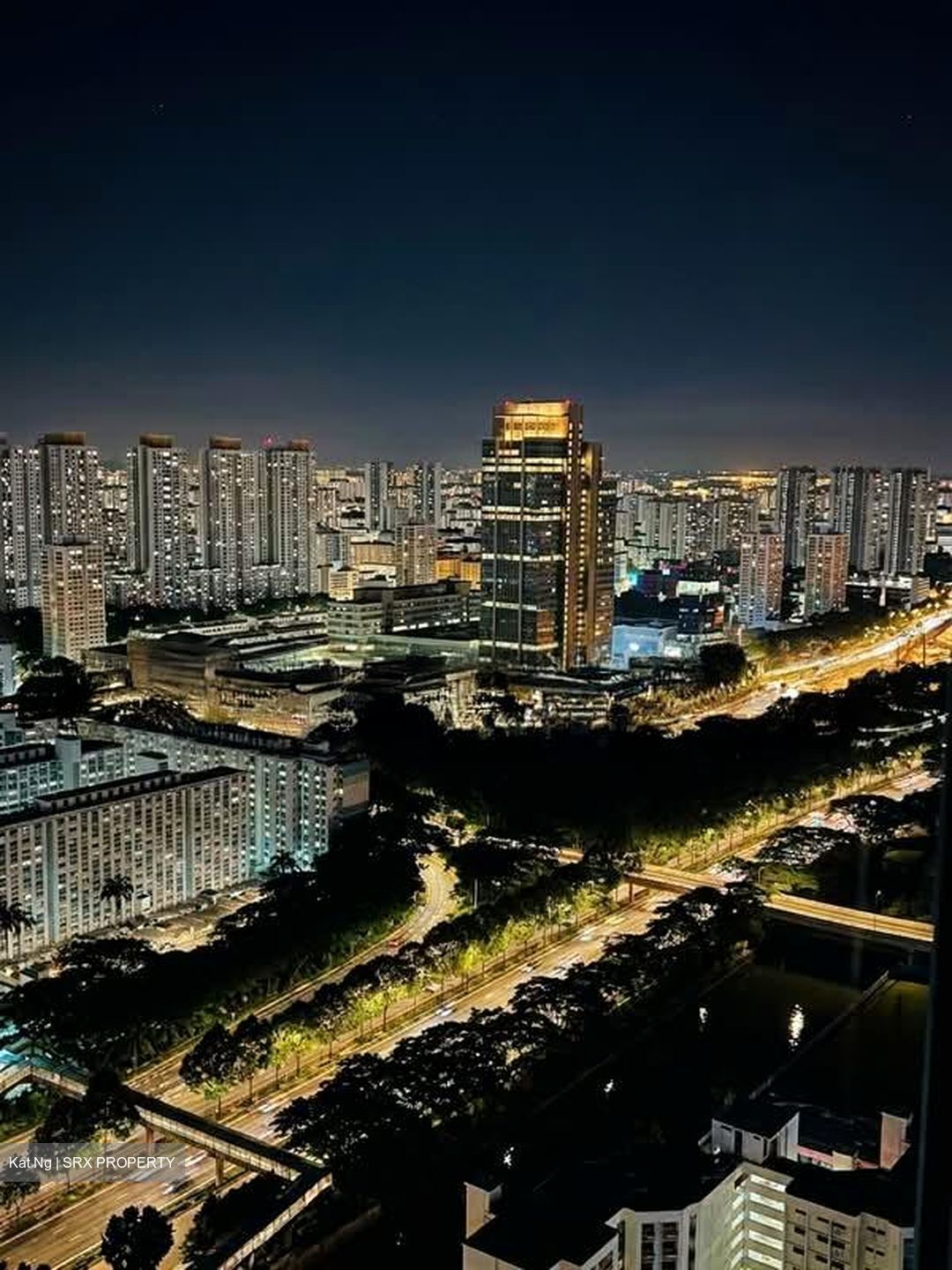 Vista Residences (D12), Condominium #604389561